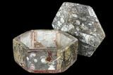 Lot: Hexagonal Goniatite & Orthoceras Jewelry Boxes - Pcs #104026-1
